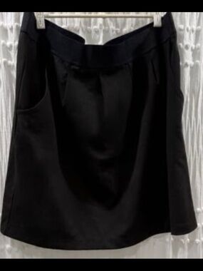 Black Gap Skirt